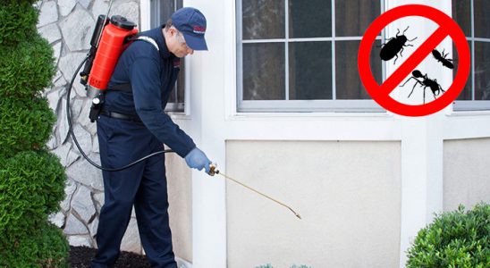 Halkapınar Kemirgen İlaçlama böcek ilaçlama ve haşere kontrolü — ilaclama-tr.com